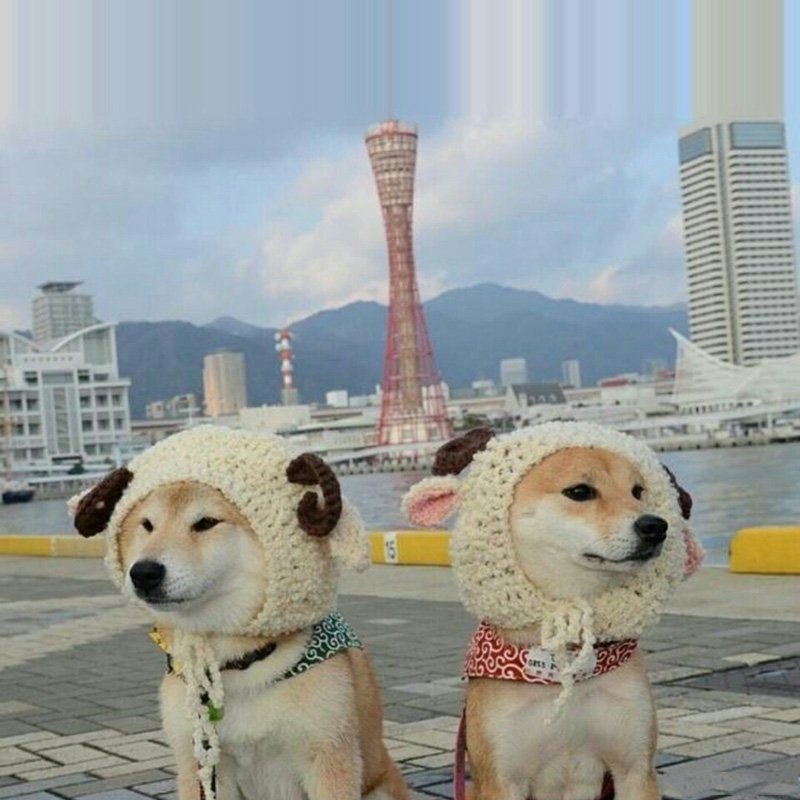 鼓励朋友的句子