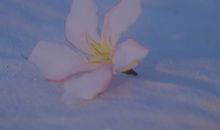 走心情话最暖心短句