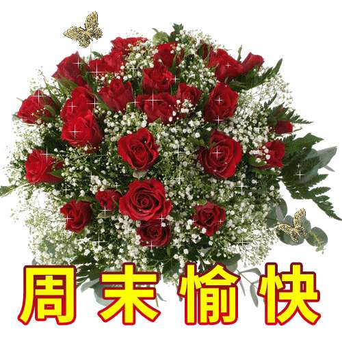 周末致客户简报1