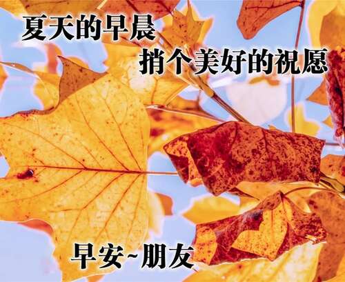 早上好问候2