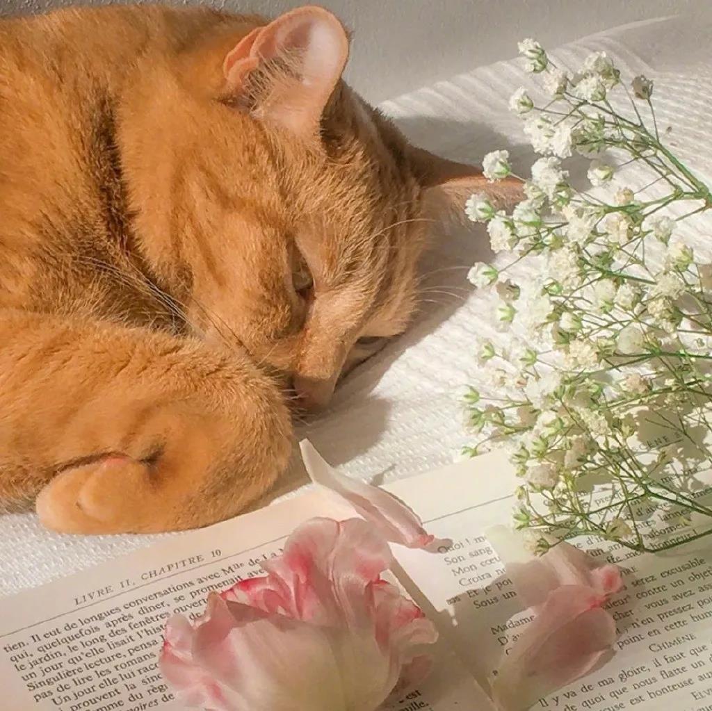 一个女孩生病的时候感人的话2