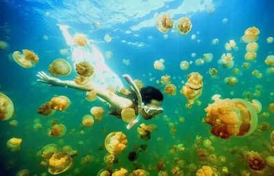 情人的爱情句子1