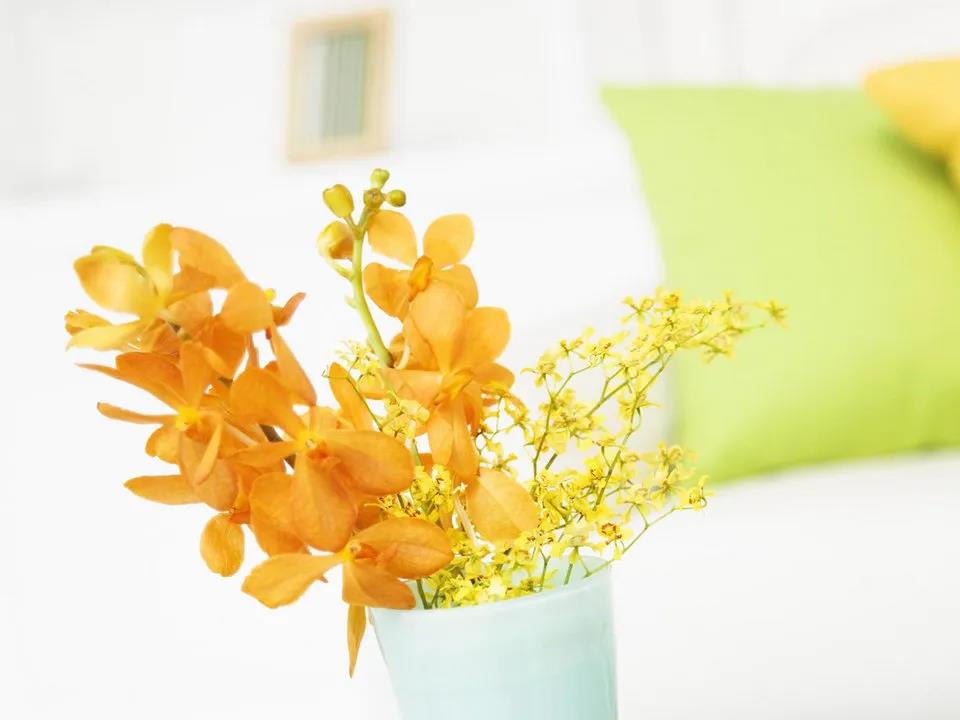 世界流行的尽头的句子1