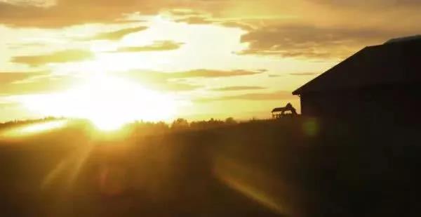 适于清晨2的简短句子