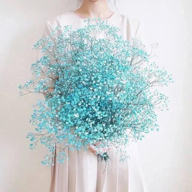 一句动听的美丽句子