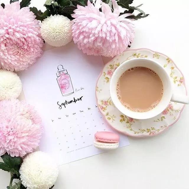 美丽的句子让你的心融化2