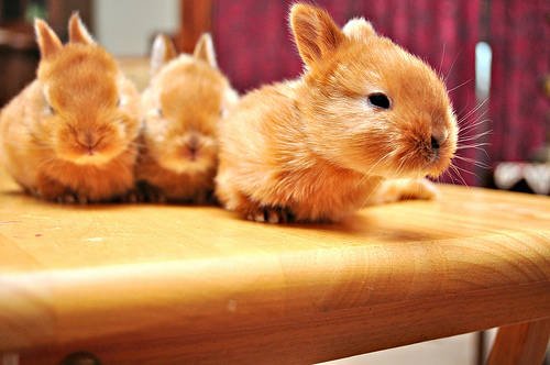 快乐的句子谈论情绪短语1