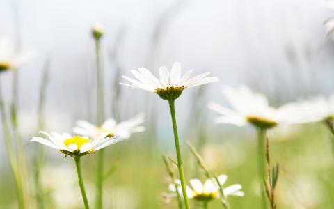 人快乐表达句子2