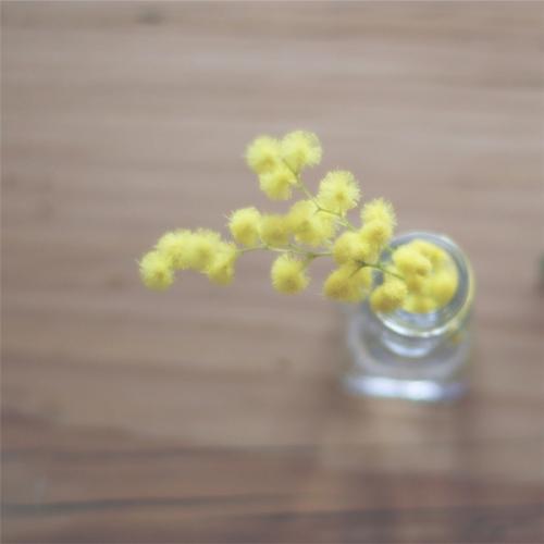 儿童的快乐句子1