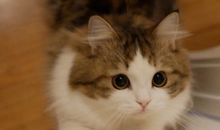 开心面对挫折的句子