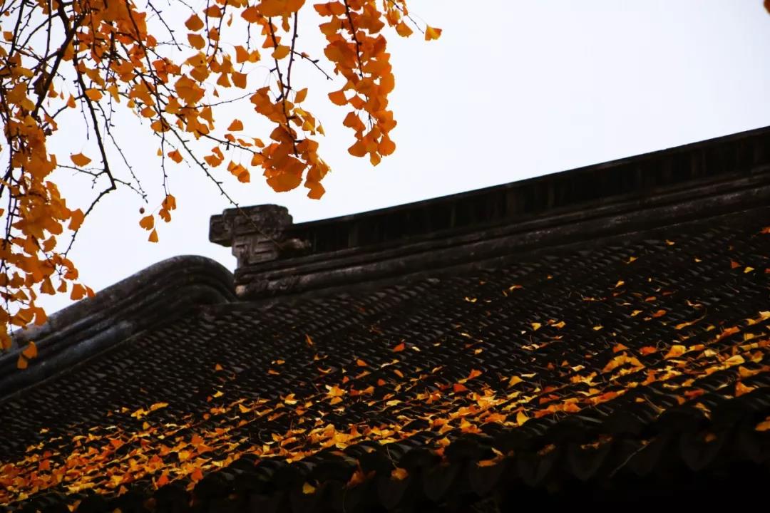 朋友们的冬季服装节诗歌节1