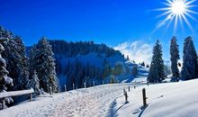 冬天的文案短句