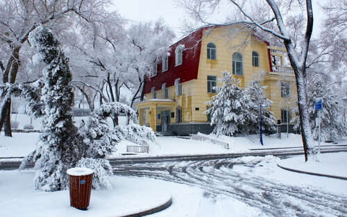 适合冬天的文学句子