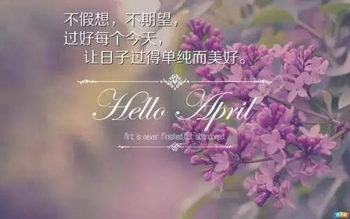 2020年的朋友圈谈论生活