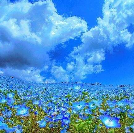 鼓励孩子快乐的句子2