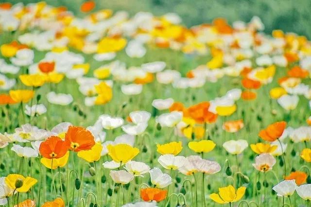 生气的句子谈心情