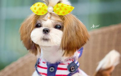 幸福快乐的句子2