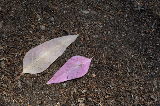鼓励孩子学习励志句子1