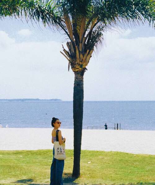 牛年祝福系列摘要1