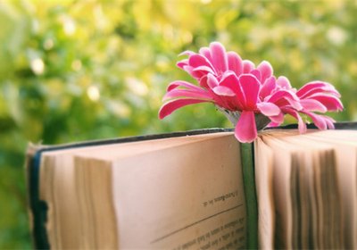 甜蜜的句子，感到幸福2