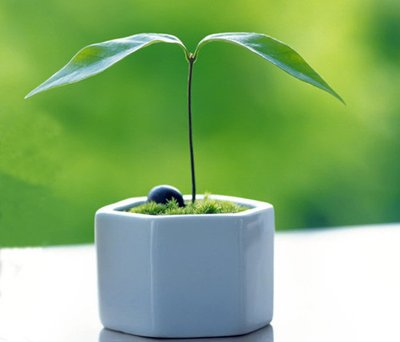 甜美的句子，让人感到幸福