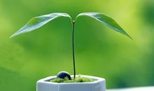 感悟幸福的甜美句子