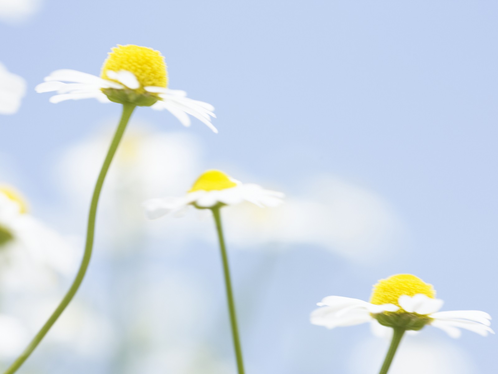 有趣的生活句子