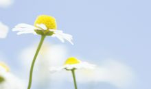 人生搞笑感悟句子