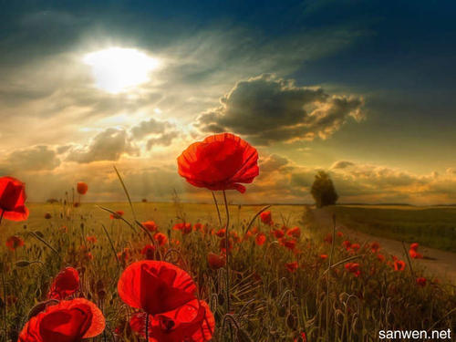 自信快乐的英语句子