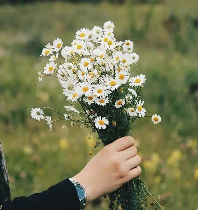 闷热的爱情故事1