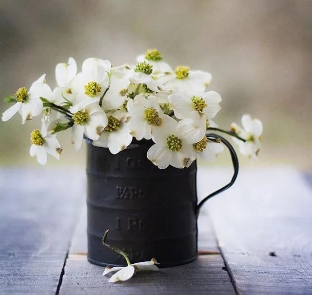 讨厌的闷热爱情故事2