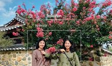 今天开心的说说心情句子