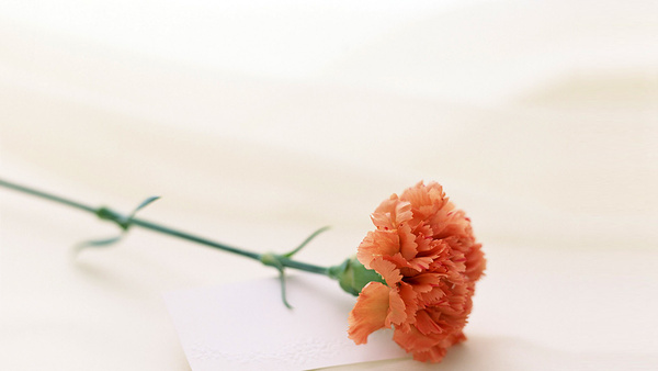 押韵搞笑个性签名1