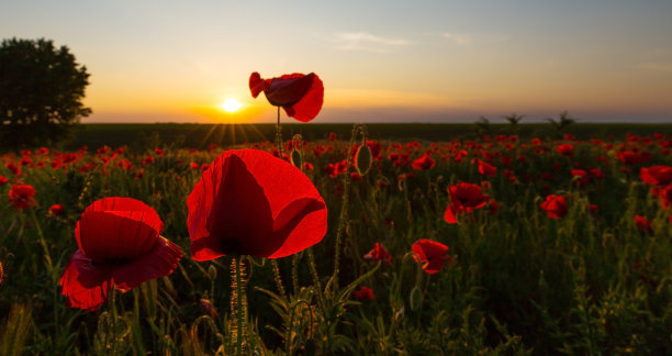 经典而有趣的哲学句子