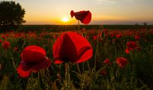 经典搞笑的哲理句子