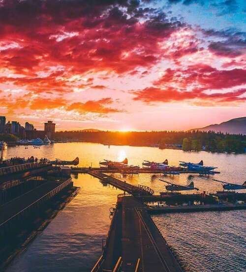 看到奶奶开心的一句话