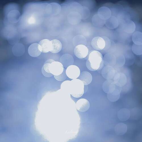 淡淡的女孩屏幕名称2