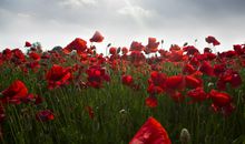 人生感悟搞笑哲理句子