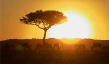 女儿与母亲的温馨文案