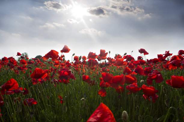 有趣的押韵句子1