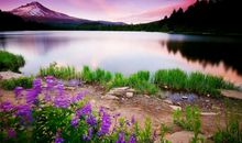 抖音宝妈必火的句子