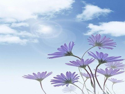 关于幸福和幸福的一句话2