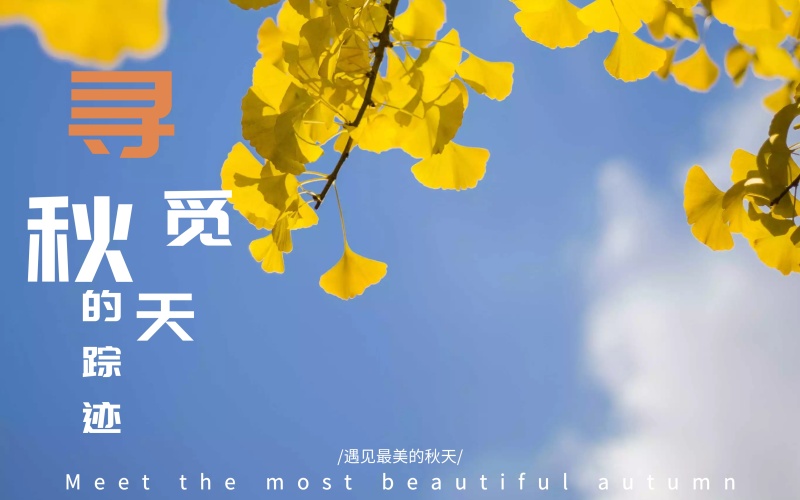 关于快乐和快乐的句子1