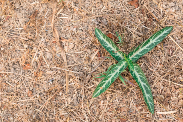 大学生毕业祝福2