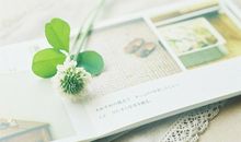 友情祝福的经典句子