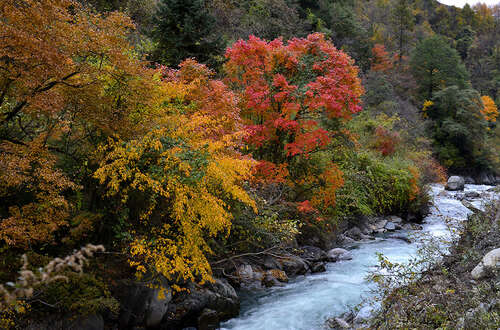 关于暑假的句子1