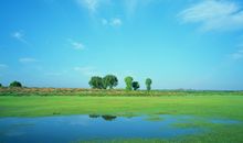 形容夏天炎热的语句