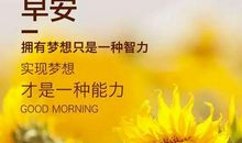 2020经典语录短句