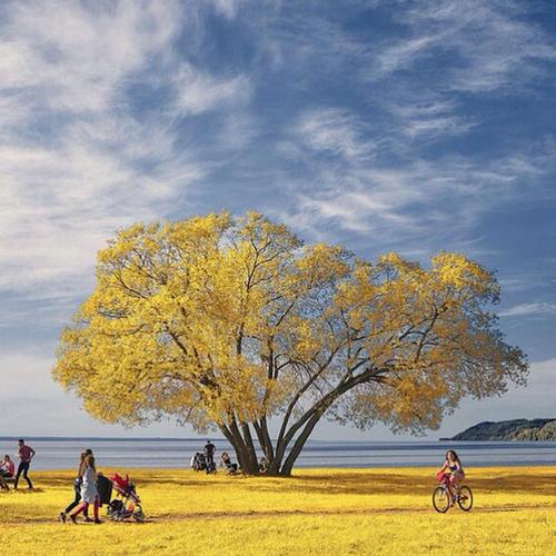 根据需要发送您的朋友