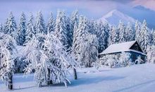 大雪节气谚语大全